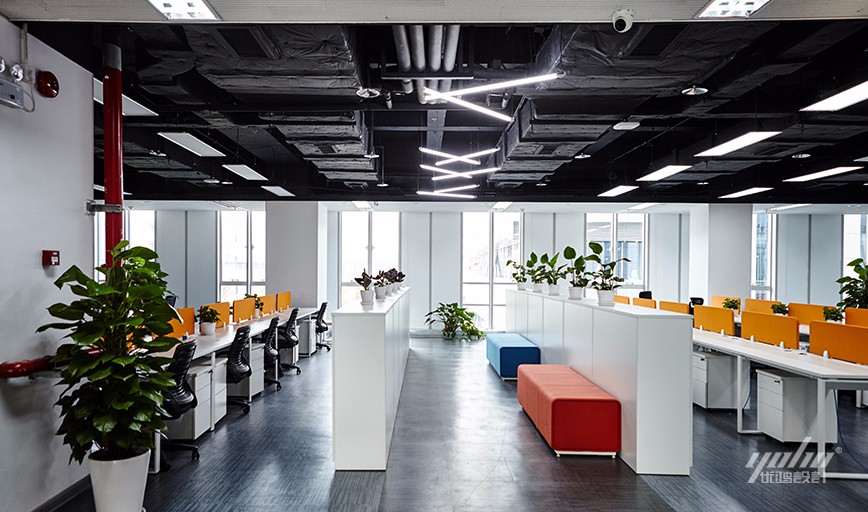 桃子视频APP黄在线观看案例